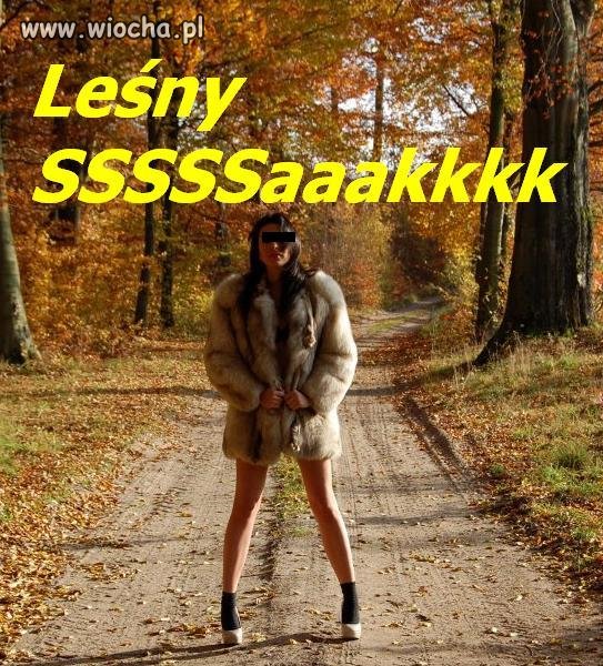 Leśny sssakkk