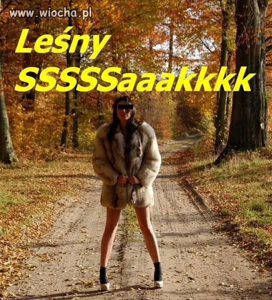 Leśny sssakkk