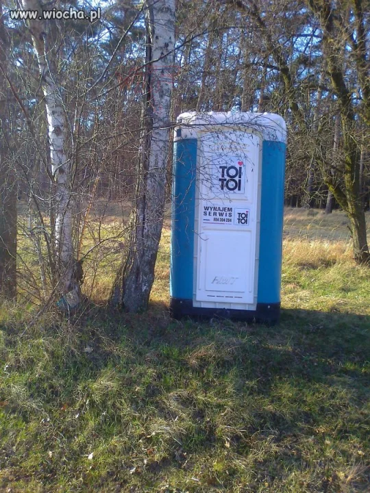 WTF?