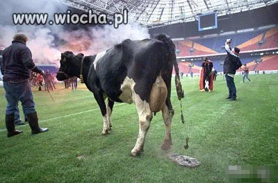 EURO2012