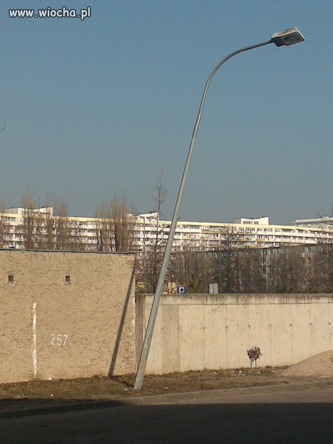 Mistrzostwo