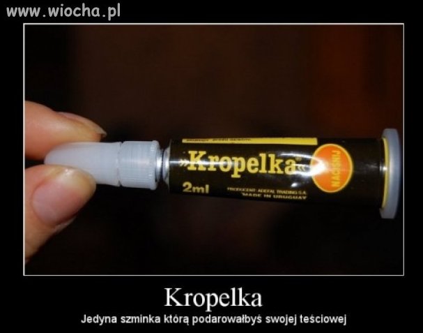 Kto się zgadza 