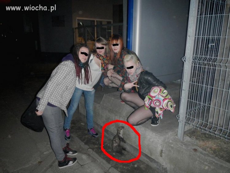 Nie ma to jak zdjęcię z martwym zwierzęciem