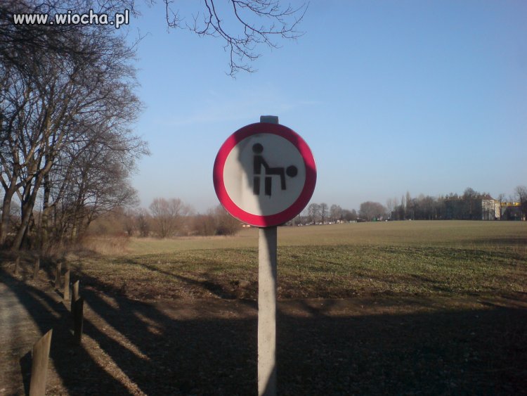 Zakaz ruch... się haha