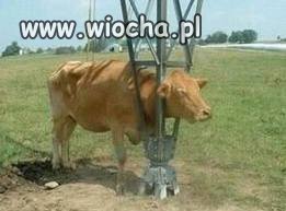 Idioci!
