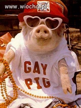 Gay ...
