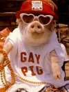 Gay ...