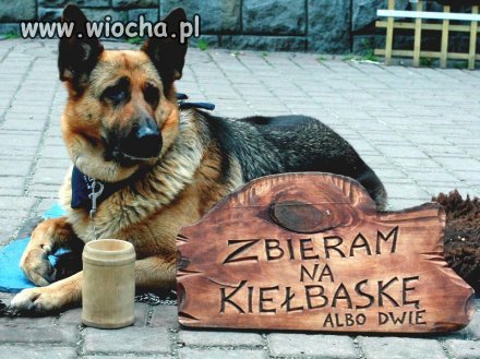 Krupówki