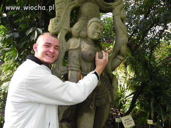 Jak się nie ma co się lubi