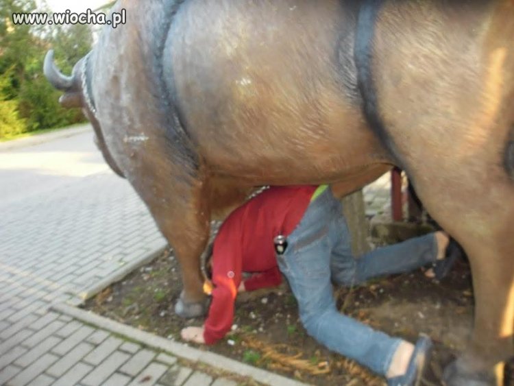 Zostawię to bez komentrza...