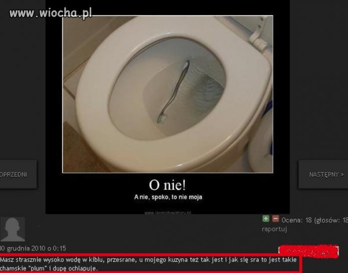 ,,Masz strasznie wysoko wodę w kiblu"