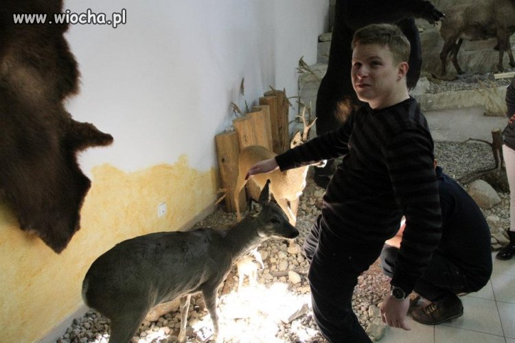 Żaden zoo-nekrofil nie przejdzie obojętnie obok 