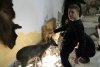 Żaden zoo-nekrofil nie przejdzie obojętnie obok 