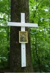 Wandalizm kościelny- gwoździe w żywe drzewo