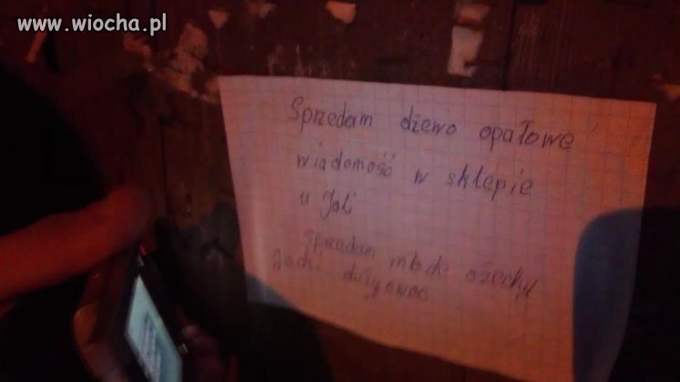 ''Młode ożechy i dżewo opałowe''. 
