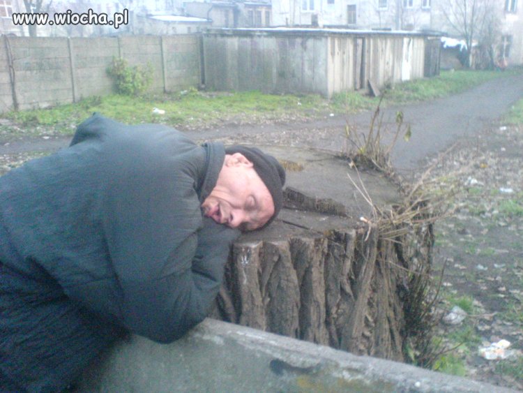 Drzemka w drodze do domu 