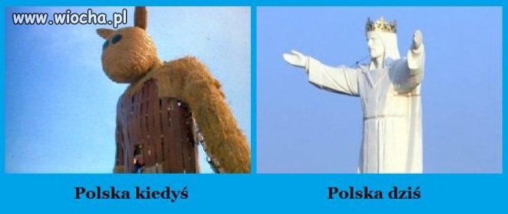 To jest miś na miarę