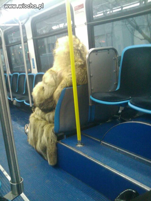 Yeti podróżuje i w tramwaju ...