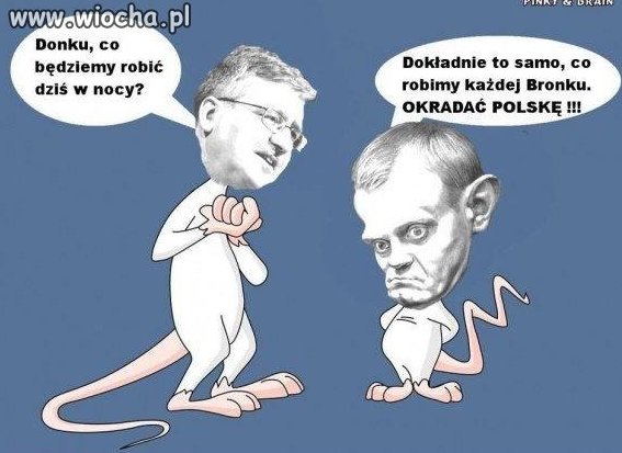 Coś w tym prawdy jest