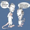 Coś w tym prawdy jest