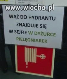 To tylko u nas takie jaja