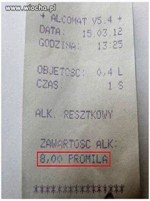 Polacy rulez