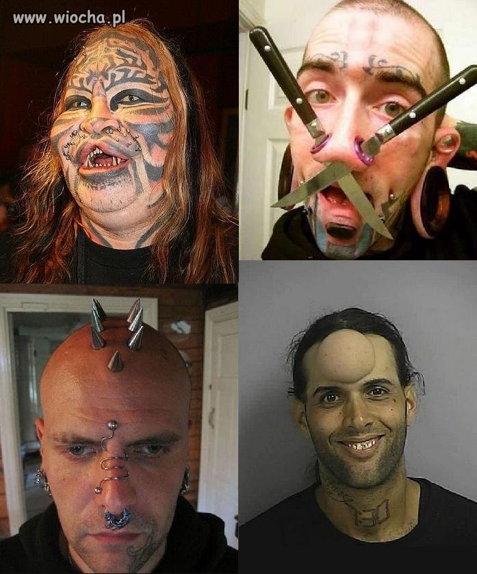 Oni sami tego chcieli... 