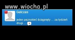 Wyrwany paznokieć 