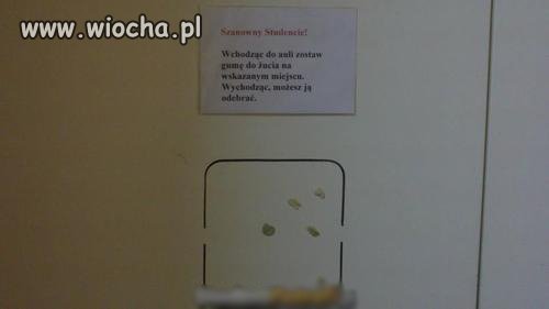Guma do żucia