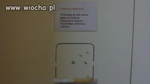 Guma do żucia