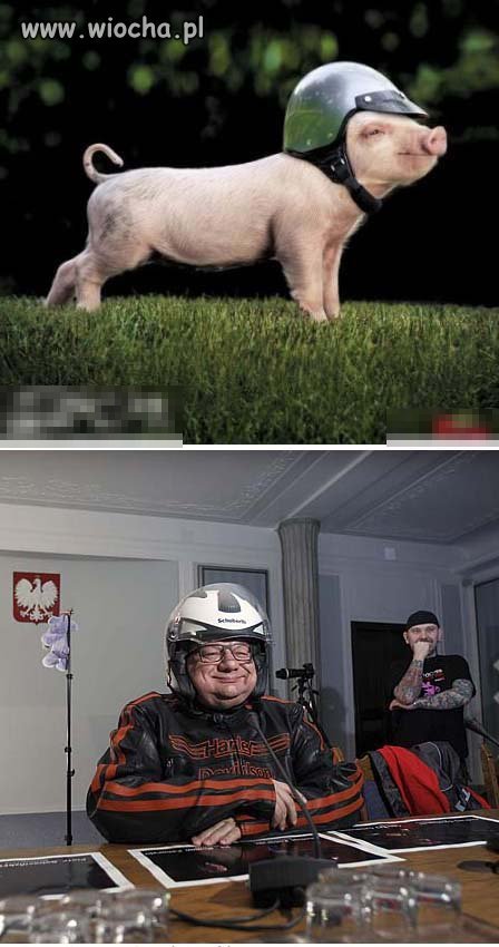 Wiocha