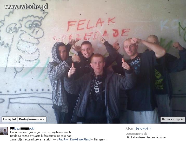 Witamy na wiocha.pl...