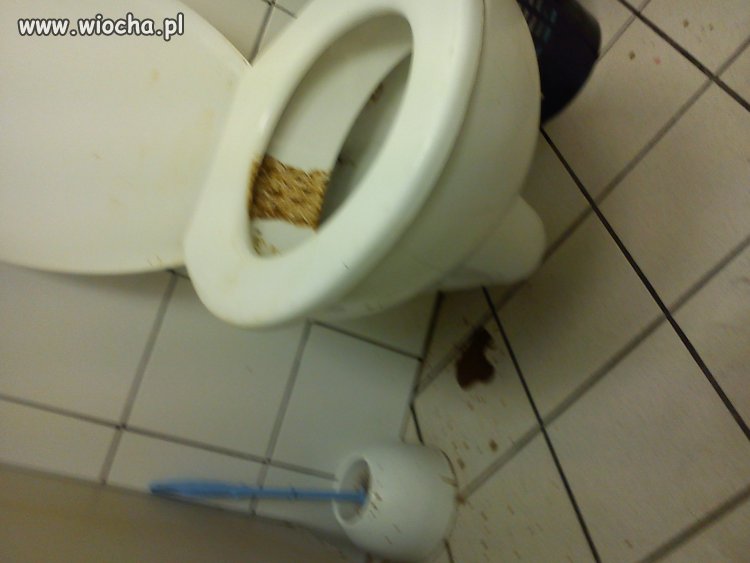 Takie rzeczy tylko w TESCO