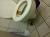 Takie rzeczy tylko w TESCO