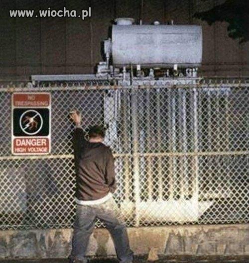 Jak stać się właścicielem fioletowego ptaszka...