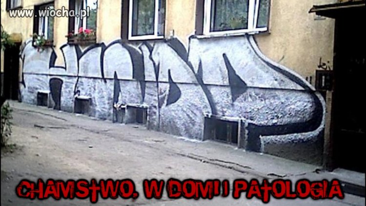 H - chamstwo   W - w   D - domu   P - patologia