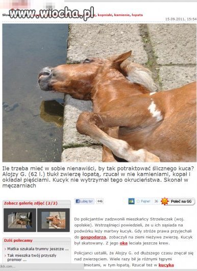 Bestialstwo