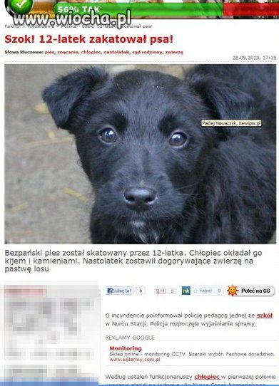 12-latek skatował psa