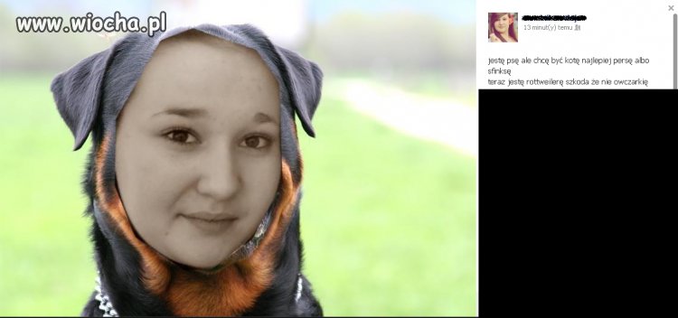 Komentarz