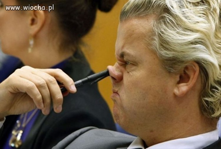 Prosiaczek...