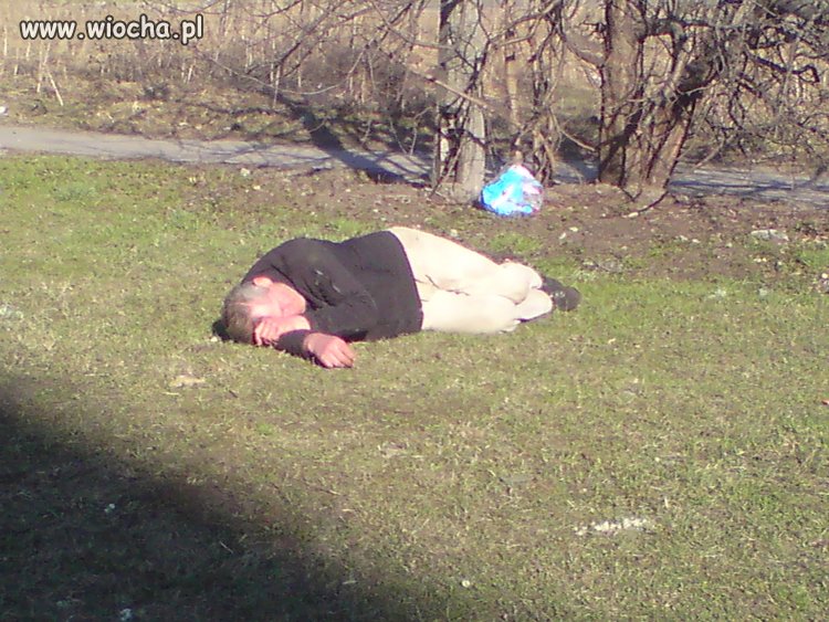 Niedzielne popołudnie...