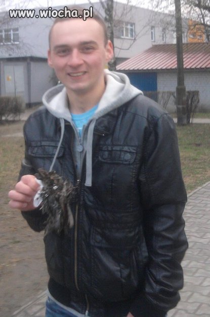 Lans na martwego ptaka i się tym chwalić...