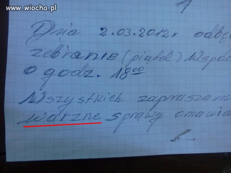 Ogłoszenie na tablicy w Gajewie
