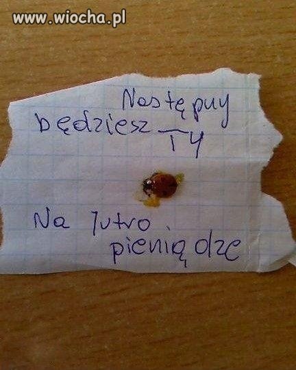 Siła argumentu