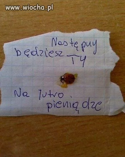 Siła argumentu