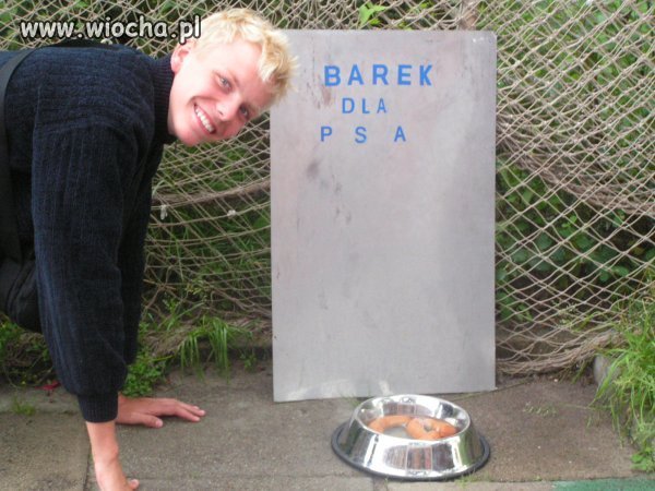 Barek dla psa