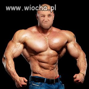 Mistrz photoshopa