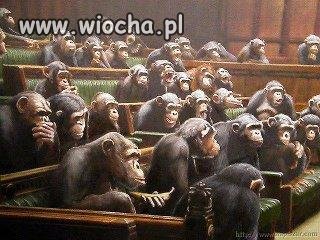 Polski rząd 