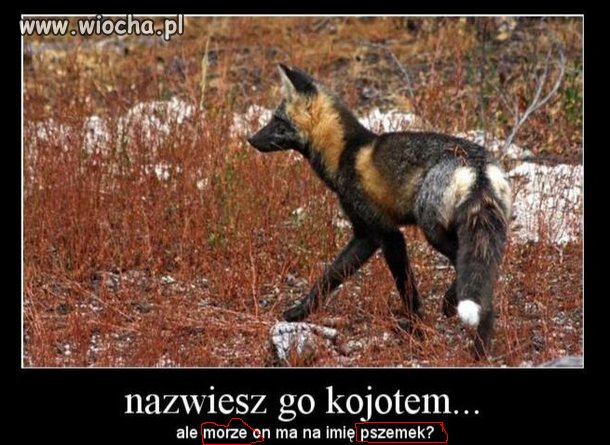 Nie mam pojęcia