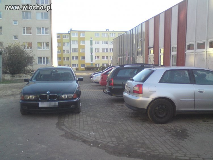 Mistrz parkowania